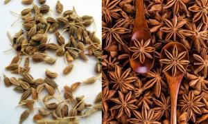 Anise tea: beneficial properties, recipe, reviews