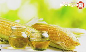 Kukuruzno ulje - tekuće “zlato” za zdravlje i ljepotu Je li kukuruzno ulje dobro za hranu?
